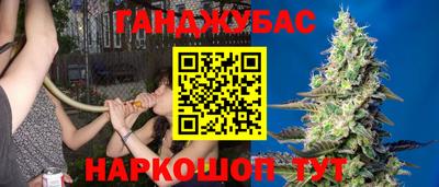 ALPHA PVP Севастополь