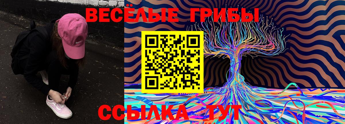 Петропавловск-Камчатский  Галлюциногенные грибы Cubensis  Вход с VPN 