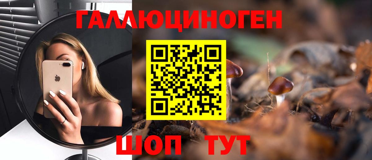 Псилоцибиновые грибы мухоморы Петропавловск-Камчатский